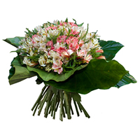 Florerias  - Compra en el mejor sitio de flores con  Entrega Gratis!!